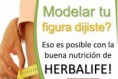 /album/fotogaleria-herbalife/img-20161218-wa0014-jpg/